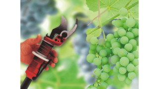 포도주 제조 산업의 Kaeser 산업용 왕복식 콤푸레셔